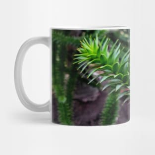 Monkey Puzzle Tree Mug